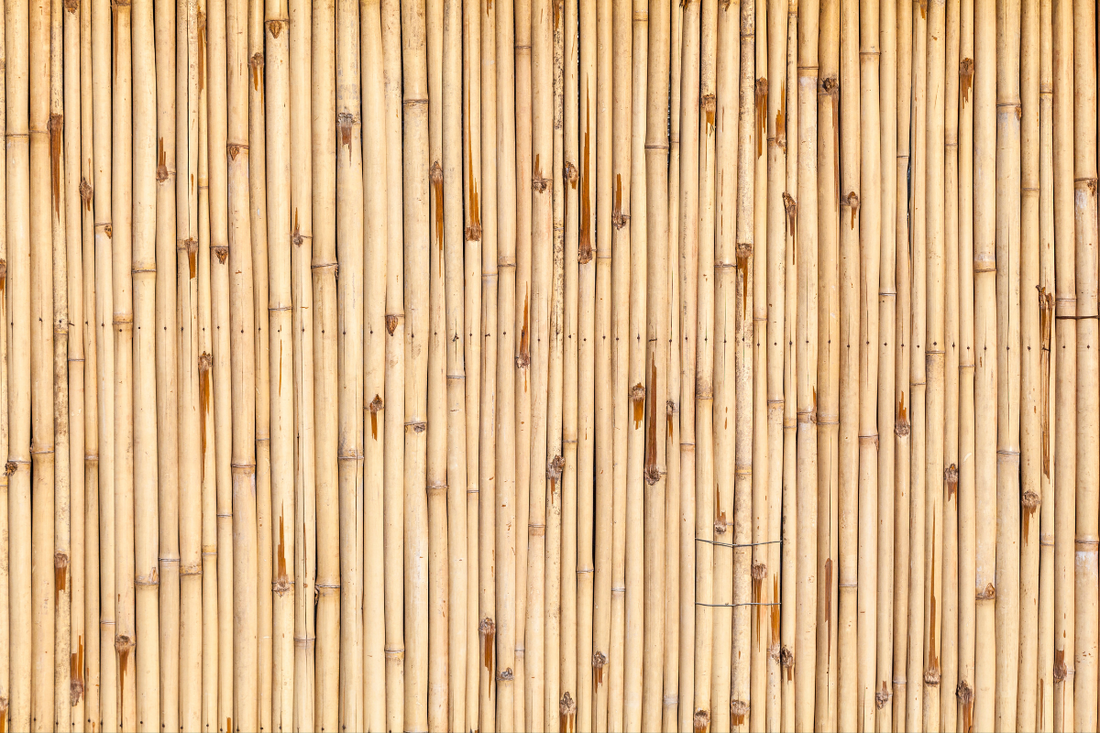 Bamboo: The New Green Gold