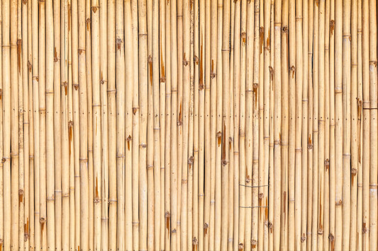 Bamboo: The New Green Gold