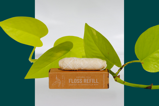 The 7 Reasons Why You Should Floss Everyday